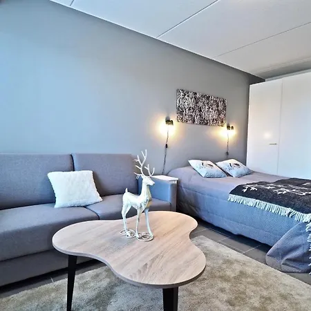 Levillas Studio Huoneisto Levin Keskustassa *