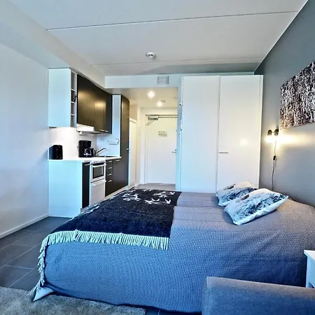 Levillas Studio Huoneisto Levin Keskustassa Levi